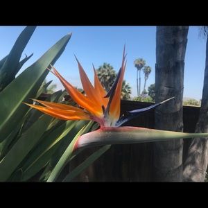 Meet your Posher, Sabrina